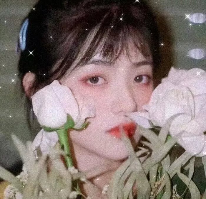 探员卡特